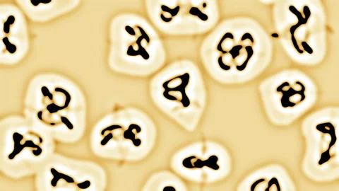 3D render bacteria virus moving render. 3d render microbe. Human immune system Stock Footage 108555421