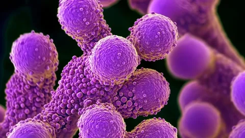 3d render Bacterium Closeup depth of field Stock Footage 294957275