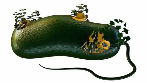 3d render of a bacterium undergoing lysis or exploding. Illustrazione stock