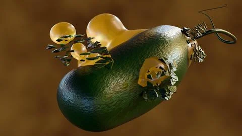 3d render of a bacterium undergoing lysis or exploding. Illustrazione stock