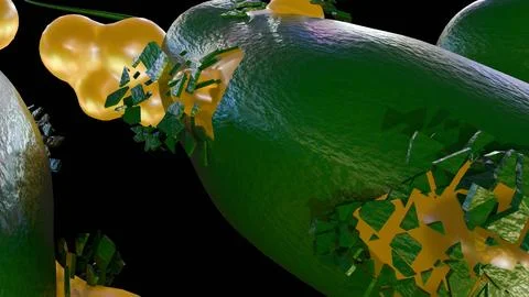 3d render of a bacterium undergoing lysis or exploding. Illustrazione stock