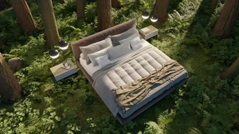 3d-render. A bed in an summer forest in a clearing among trees. Stock Footage 204916417