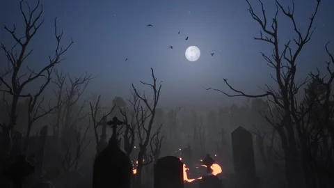 3d-render. Birds are circling over an old abandoned cemetery under a full moon. Stock Footage 219051872