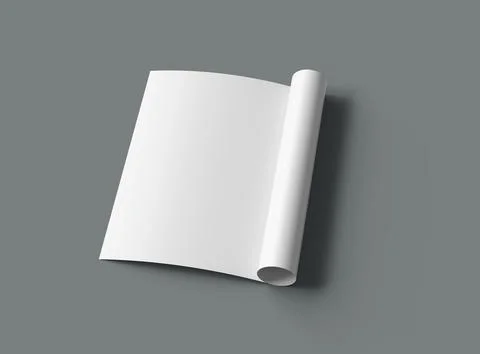 3d render of a blank A4 Half Sheet Folded brochure  to present your design. Stock Illustration