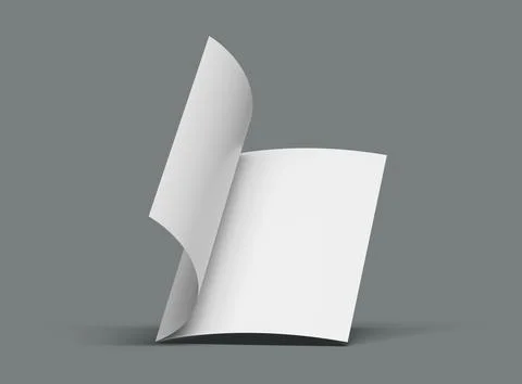 3d render of a blank A4 Half Sheet Folded brochure  to present your design. Stock Illustration