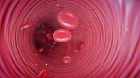 3D render blood cells flow through the blood vessels Видео 128986133