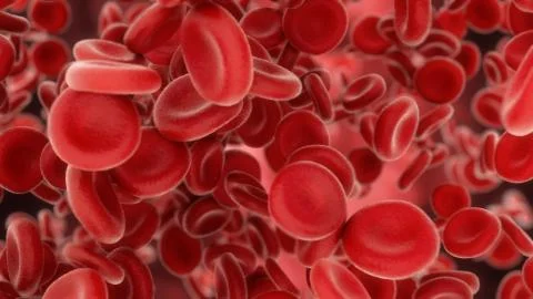 3d render Blood cells flying through arteries or viens Stock Illustration