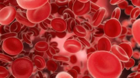 3d render Blood cells flying through arteries or viens Stock Illustration