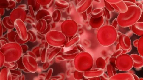 3d render Blood cells flying through arteries or viens Stock Illustration