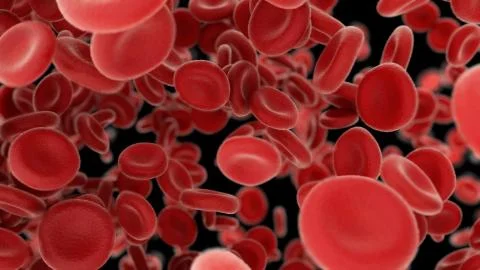 3d render Blood cells flying through arteries on black background Stock Illustration