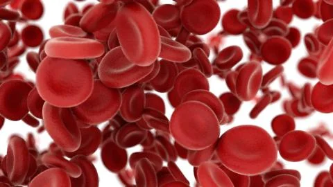 3d render Blood cells flying through arteries on white background Stock Illustration