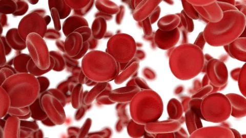 3d render Blood cells flying through arteries on white background Stock Illustration