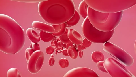 3D render of blood cells Stock Footage 158005092