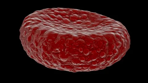3d render blood cells object spinning in black background science and medic Vidéo 334589317