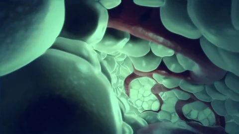 3d render of blood flowing through capillary Stock Footage