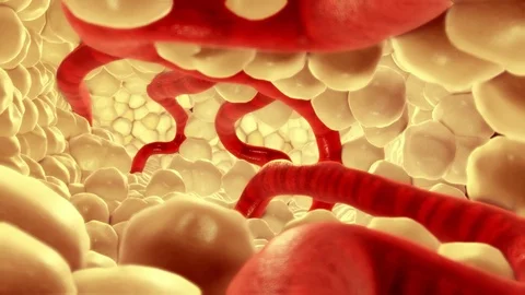 3d render of blood vessels through cells by Polymime http://www.polymime.com Stock Footage 75438280