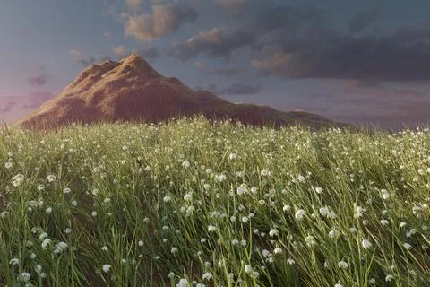 3d render of blooming flowers on serene meadow Stock Illustration