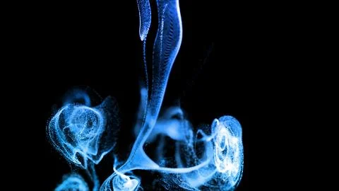 3d render blue luminous particles in a fluid stream in slow motion. The effect Stock Illustration