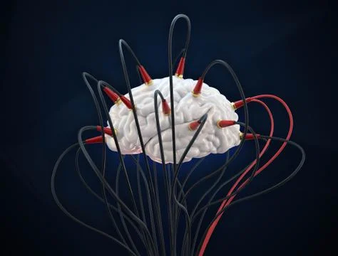 3D render a brain connected to a network 스톡 일러스트