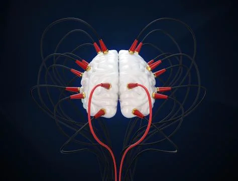 3D render a brain connected to a network 스톡 일러스트