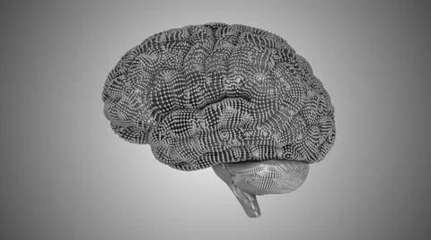 3D render of brain simulated Artificial neural network  库存插图