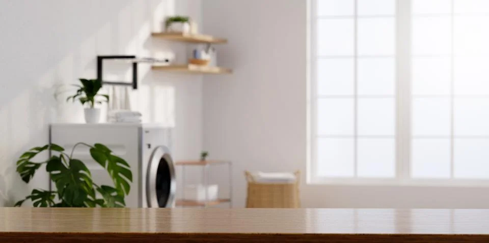 A 3D render of a bright modern laundry room featuring eco-friendly features and Stock Illustration