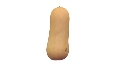 3D render of a butternut squash's unique shape and texture 스톡 동영상 285354862