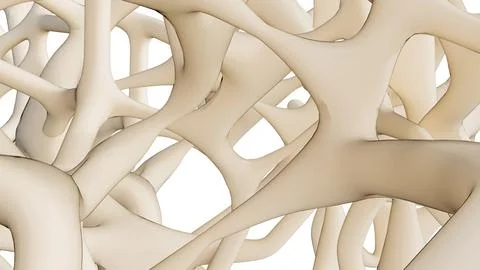 3d render of cancellous bone tissue, showing a complex trabecular network. Stock Illustration