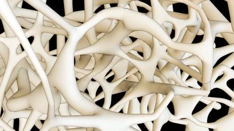 3d render of cancellous bone tissue, showing a complex trabecular network. Stock Illustration