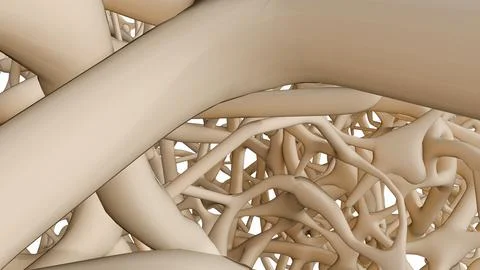 3d render of cancellous bone tissue, showing a complex trabecular network. Stock Illustration