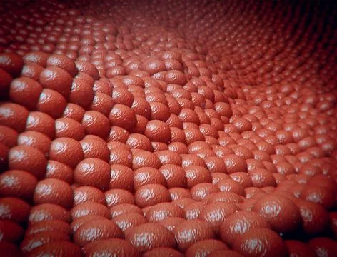 3D Render cells of the human body Stockillustratie