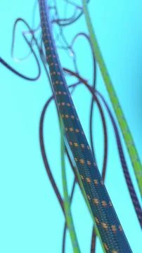 3d render of climbing rope against a bright blue background. vertical backdrop Stock Illustration