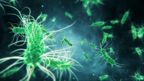 3D render of a closeup of the germs of micro-organisms Stock Footage 128925333