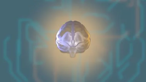 3d render computed medical tomography MRI scan of human brain over circuit green Illustrazione stock