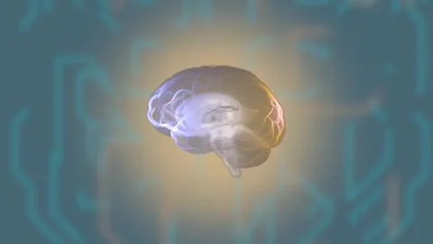 3d render computed medical tomography MRI scan of human brain over circuit green Illustrazione stock