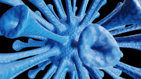 3D render coronavirus covid-19 microscopic rotation. 库存影片 344091888