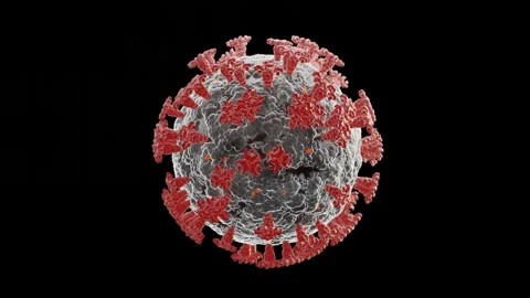 3D render of covid-19 virus cell rotating on black backgroud. Stock Footage 142410293