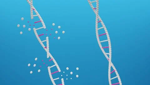 3D render of damaged DNA and healthy DNA. Stock Illustration