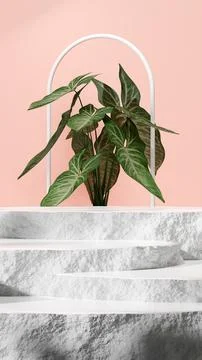 3D render of a decorative geometric stone podium in a pink room with potted plan Stock Illustration