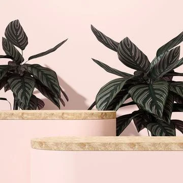 3D render of a decorative geometric stone podium in a pink room with potted plan Stock Illustration