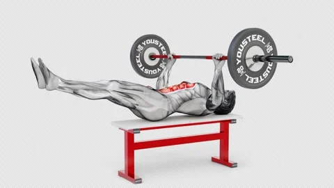 3d render design of muscular character doing bench press on isolated white Stock Footage 250857257