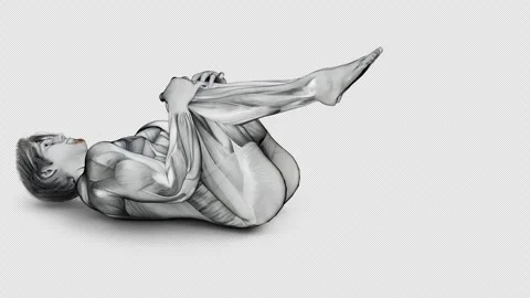 3d render design of muscular character working out Lower back Stretch on Stock Footage 251012320