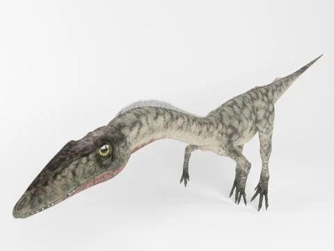 3d render of a Dinosaur inside a white stage Stock Illustration