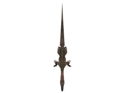 3d render of a Dinosaur inside a white stage Stock Illustration