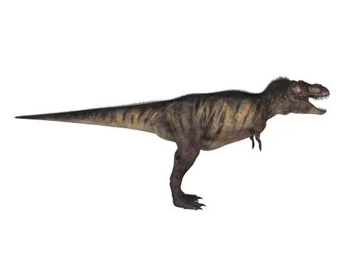 3d render of a Dinosaur inside a white stage Stock Illustration