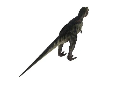 3d render of a Dinosaur inside a white stage Stock Illustration