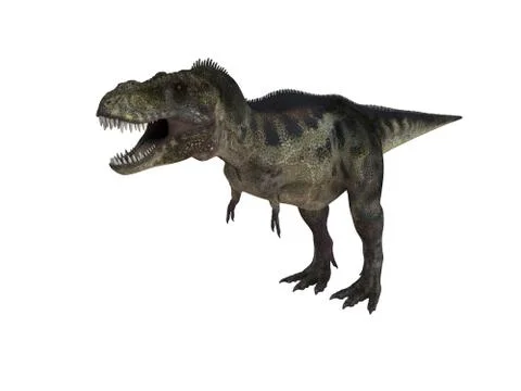 3d render of a Dinosaur inside a white stage Stock Illustration