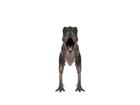 3d render of a Dinosaur inside a white stage Stock Illustration