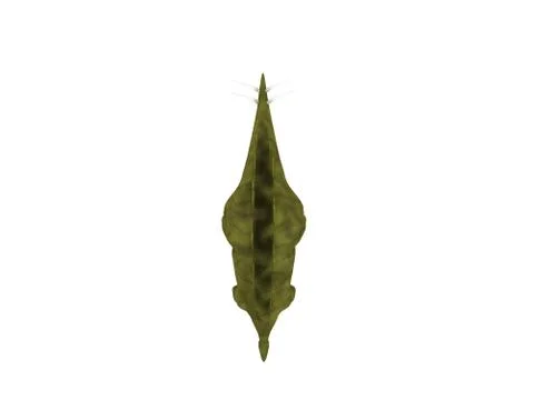 3d render of a Dinosaur inside a white stage Stock Illustration