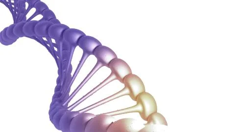 3D render DNA structure  polygonal wireframe DNA isolated background. 3D illu 库存插图